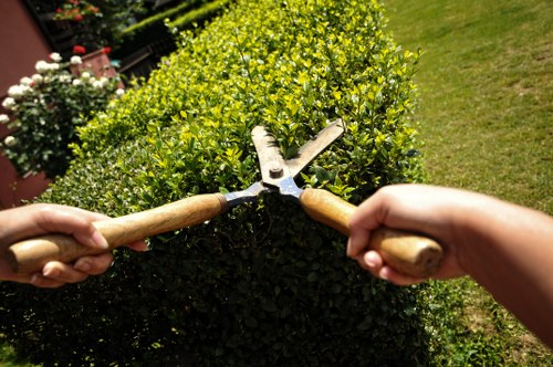 Professional landscaping services including garden design and maintenance