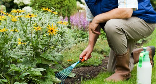 Cost-effective garden maintenance solutions