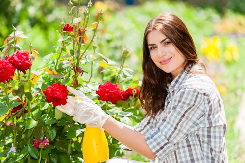 Variety of plants selected for Ruislip climate