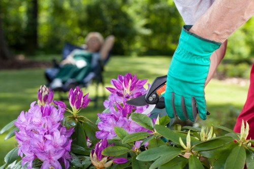 Eco-friendly hedge trimming practices in Ruislip