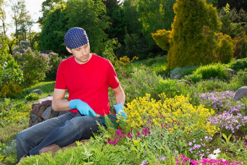 Pruning and trimming garden plants