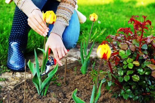 Eco-friendly lawn care practices