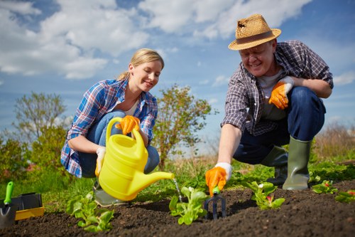 Seasonal lawn maintenance in Ruislip