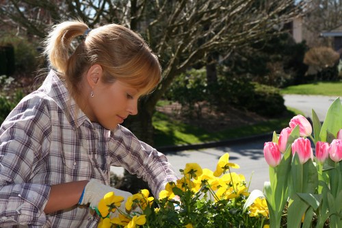 Professional gardener trimming hedges in Ruislip