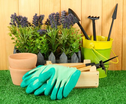 Tools used for hedge trimming in Ruislip