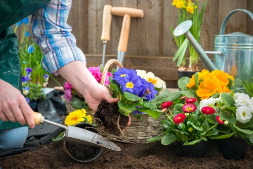 In the foreground of the garden, a person wearing a plaid shirt is holding a flowering plant with vibrant purple and yellow blossoms, preparing to plant it into the freshly turned dark soil of a garden bed. Surrounding the planting area are various colorful potted primroses and bedding plants in shades of yellow, red, and white, arranged along the edge of the flower bed. In the background, gardening tools such as a watering can, a small trowel, and a further array of potted plants and garden accessories are visible, along with a weathered wooden fence that encloses the outdoor space. The garden is well-maintained, with a neatly arranged arrangement of plants, and the overall environment suggests a bright, sunny day suitable for outdoor gardening activities. This scene illustrates a typical gardening setup in a residential garden in Ruislip or nearby, with clear focus on planting and outdoor maintenance services offered by Pressure Washing Ruislip, enhancing curb appeal and garden health with professional care.